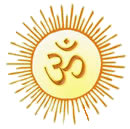 om5.jpg